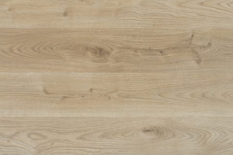 Dąb Minesota naturalna