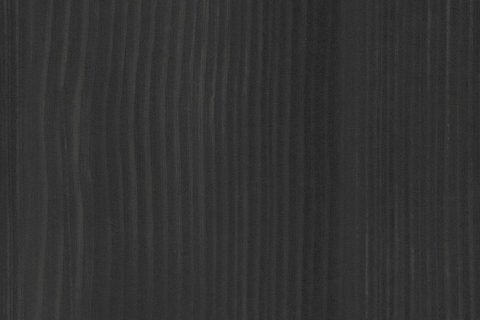 Sosna Norweska Czarna