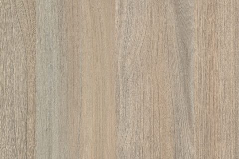 Wiąz Liberty Dymiony