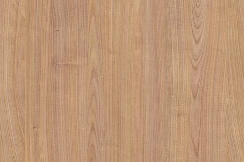 Wiśnia Riverside Jasna