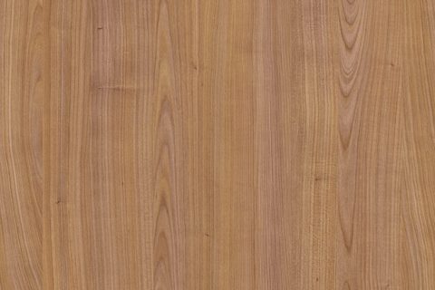 Wiśnia Riverside Ciemna