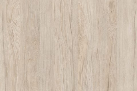 Orzech Rockford Jasny