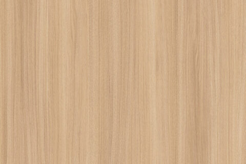 Dąb Barbera Piaskowy