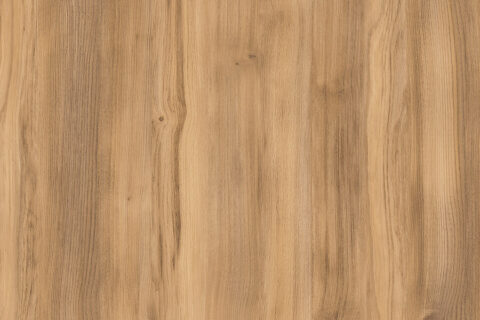 Dąb Barokowy Złoty