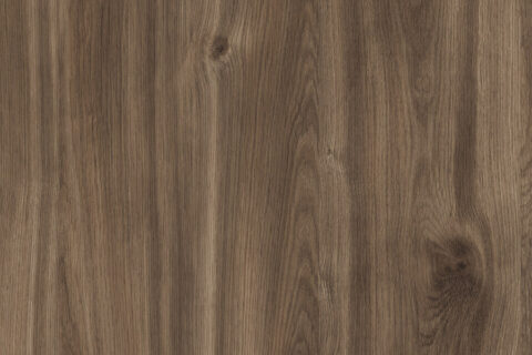 Dąb Castello Koniakowy