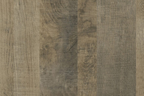 Dąb Grange Piaskowy