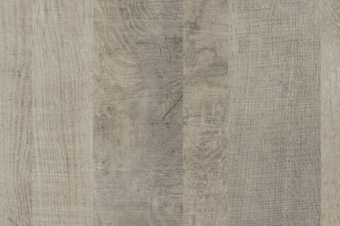 Dąb Grange Platynowy