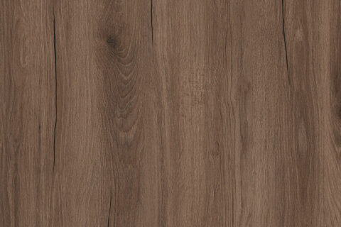 Dąb Hudson Czekoladowy