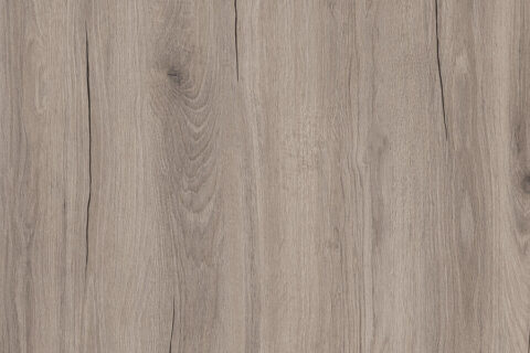 Dąb Hudson Kaszmirowy