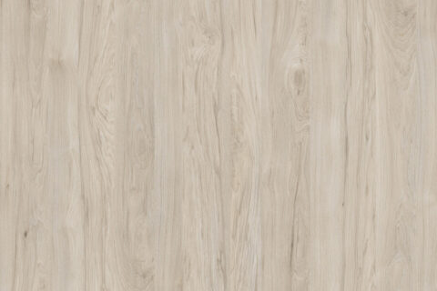 Orzech Rockford Jasny