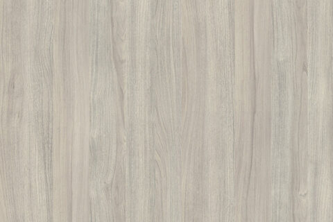 Wiąz Liberty Srebrny